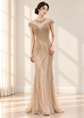 Evening gown dress (SLCDGO033)