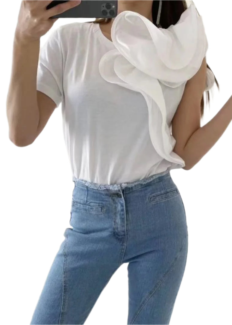 TOPS (2219TB047)